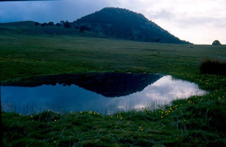 Vila Cuevas Adonia Freila Exteriér fotografie